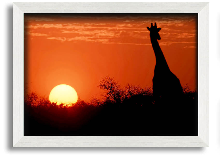 Framed print of a giraffe against a vibrant African sunset, showcasing warm colors.