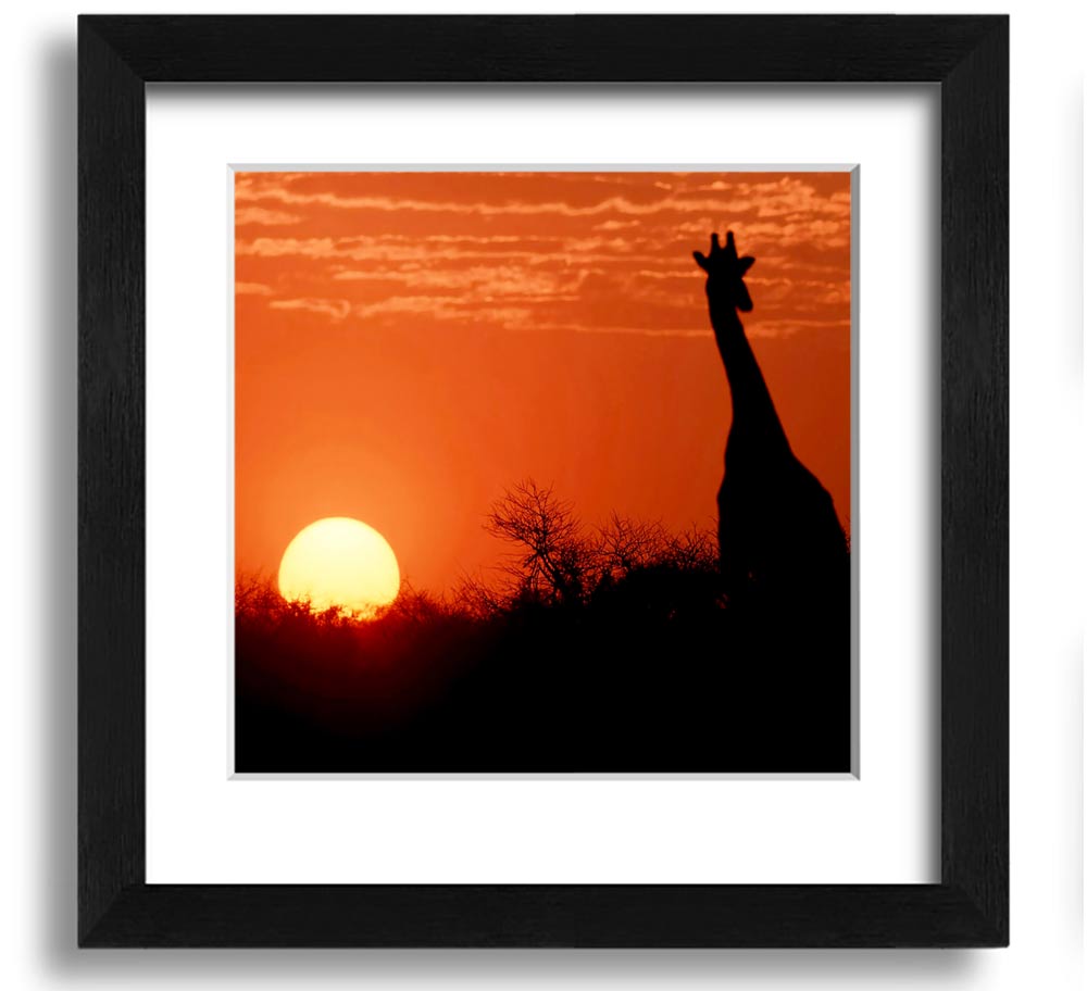 A beautifully framed print of a giraffe silhouette against a vibrant African sunset, showcasing warm colors.