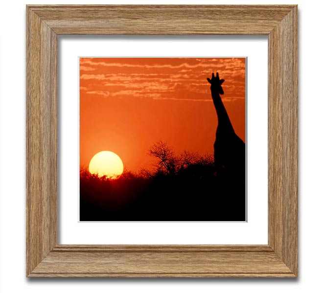 A beautifully framed print of a giraffe silhouette against a vibrant African sunset, showcasing warm colors.