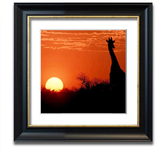 A beautifully framed print of a giraffe silhouette against a vibrant African sunset, showcasing warm colors.