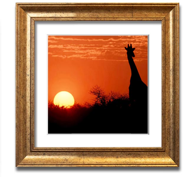 A beautifully framed print of a giraffe silhouette against a vibrant African sunset, showcasing warm colors.