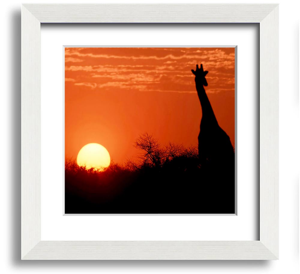 A beautifully framed print of a giraffe silhouette against a vibrant African sunset, showcasing warm colors.