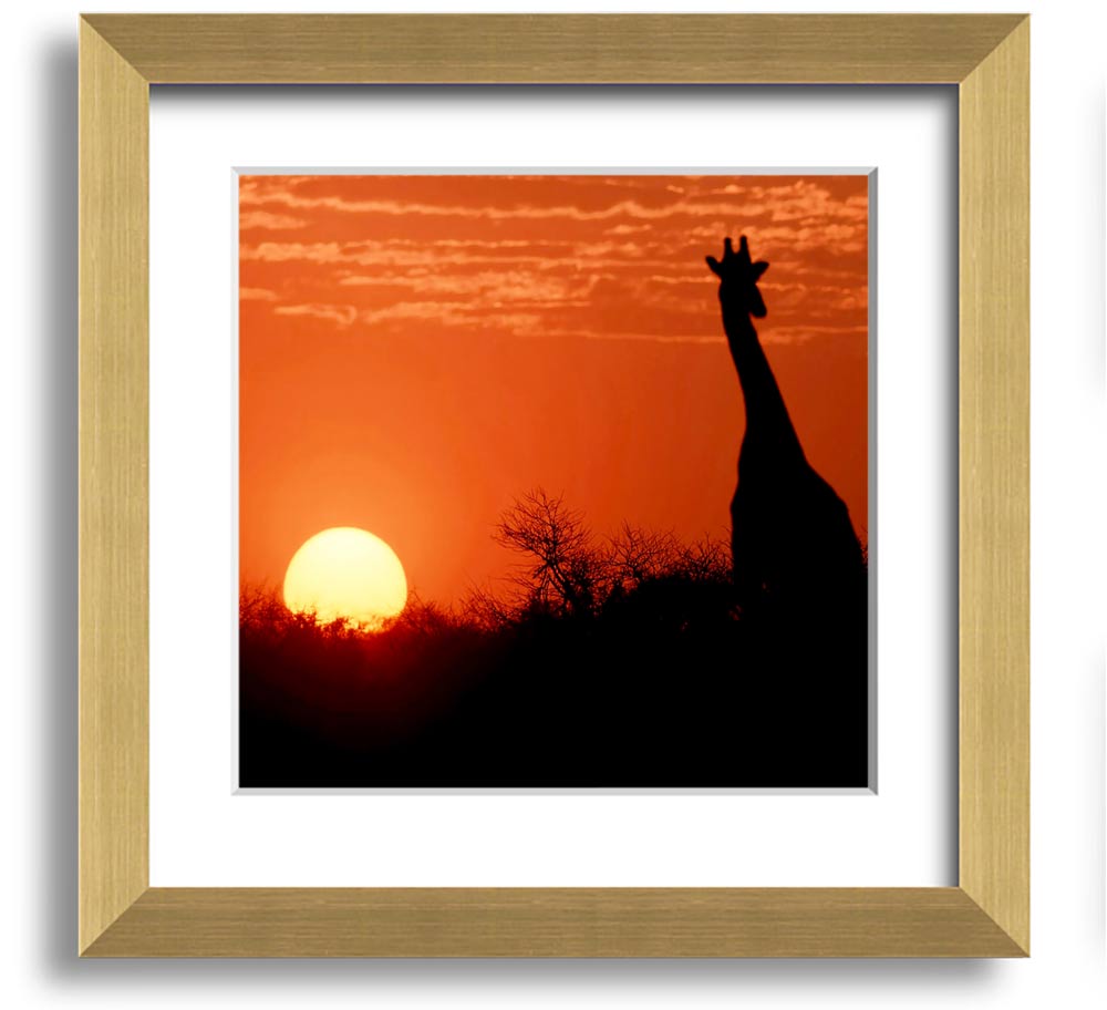 A beautifully framed print of a giraffe silhouette against a vibrant African sunset, showcasing warm colors.