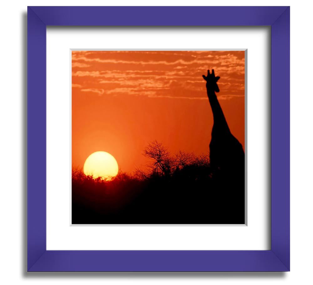 A beautifully framed print of a giraffe silhouette against a vibrant African sunset, showcasing warm colors.