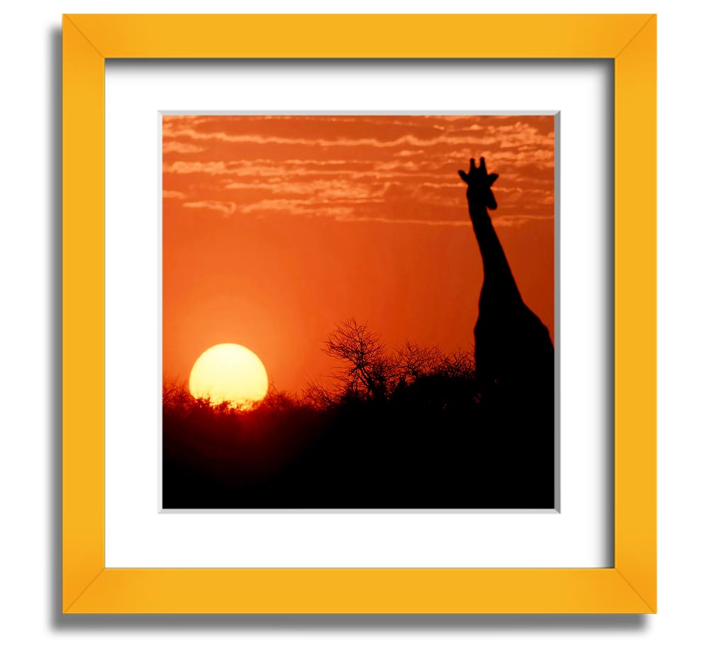 A beautifully framed print of a giraffe silhouette against a vibrant African sunset, showcasing warm colors.