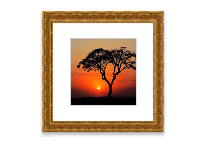 Framed print of an African sunset, showcasing vibrant colors and serene landscape, ready to hang.