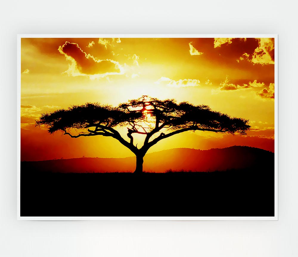 A beautiful African tree silhouetted against a vibrant sunset sky, showcasing warm hues of orange, pink, and purple.