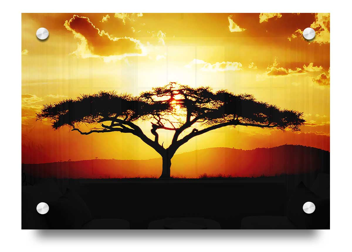 Acrylic print of an African tree silhouetted against a vibrant sunset sky, showcasing rich colors and modern design.