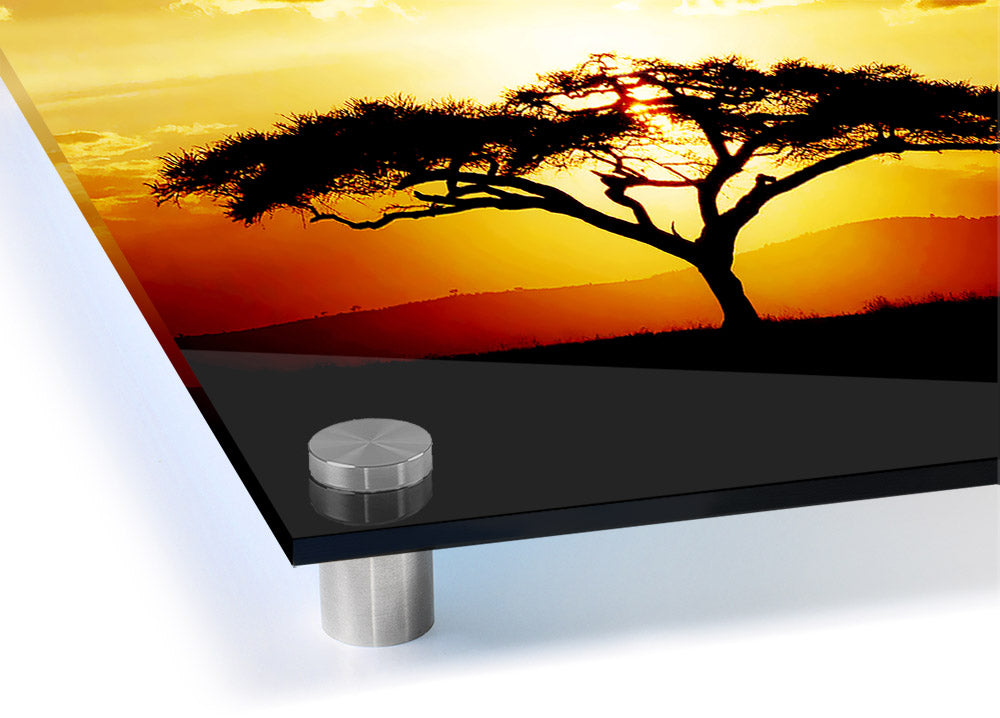 Acrylic print of an African tree silhouetted against a vibrant sunset sky, showcasing rich colors and modern design.