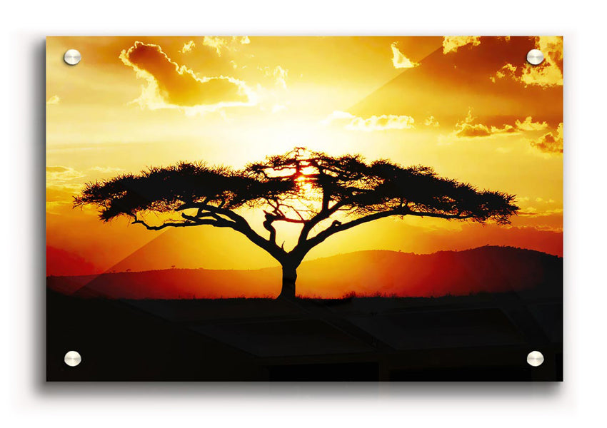 Acrylic print of an African tree silhouetted against a vibrant sunset sky, showcasing rich colors and modern design.