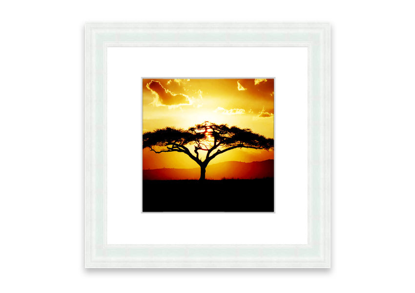 Framed print of an African tree at sunset, showcasing vibrant colors and a serene landscape.