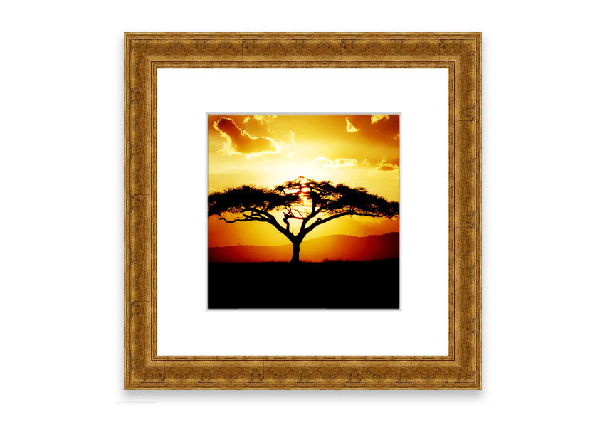 Framed print of an African tree at sunset, showcasing vibrant colors and a serene landscape.