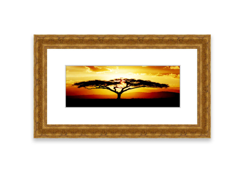 Framed print of an African tree at sunset, showcasing vibrant colors and a serene landscape.