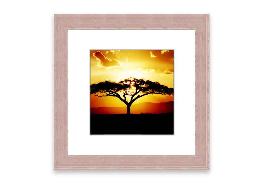 Framed print of an African tree at sunset, showcasing vibrant colors and a serene landscape.