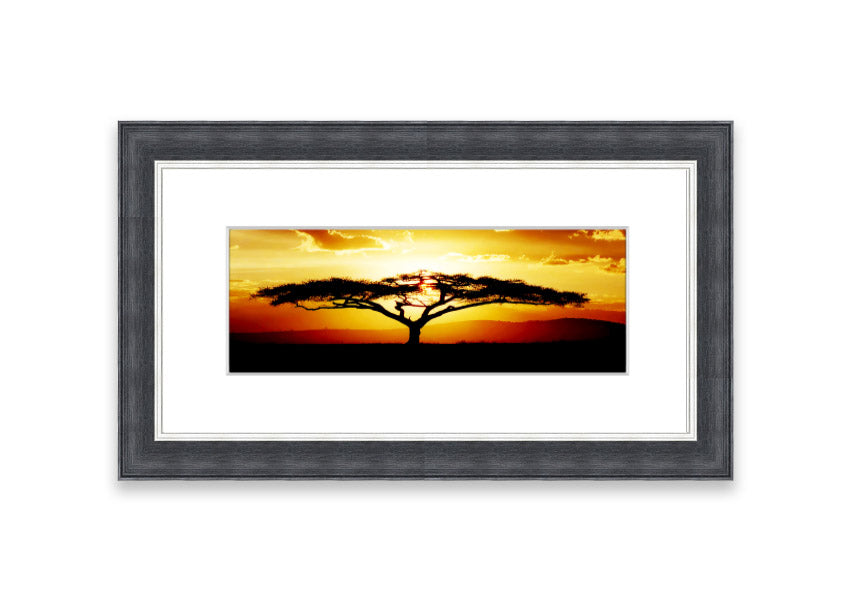 Framed print of an African tree at sunset, showcasing vibrant colors and a serene landscape.