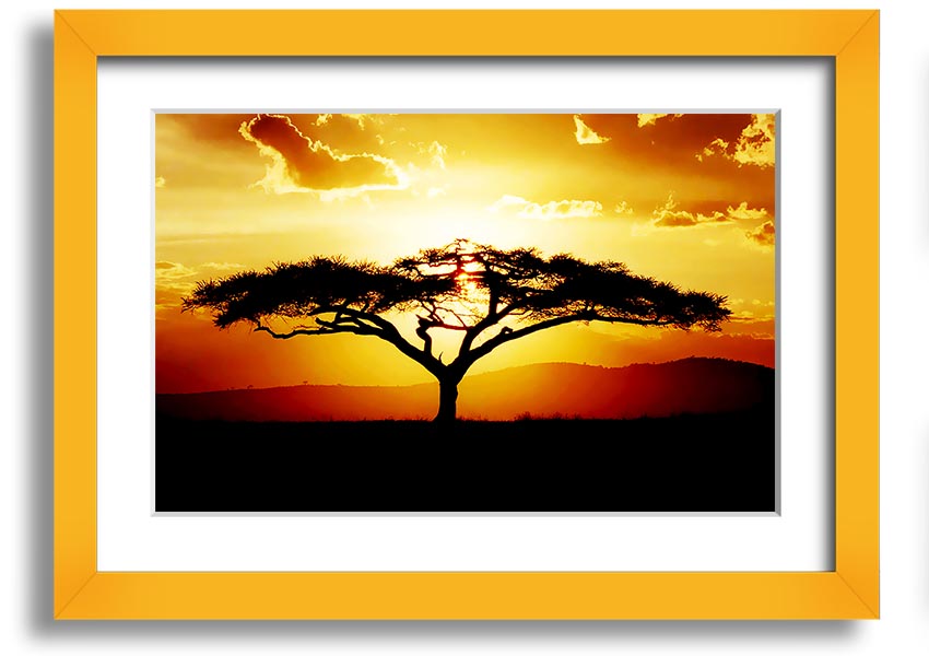 Framed print of an African tree at sunset, showcasing vibrant colors and a serene landscape.