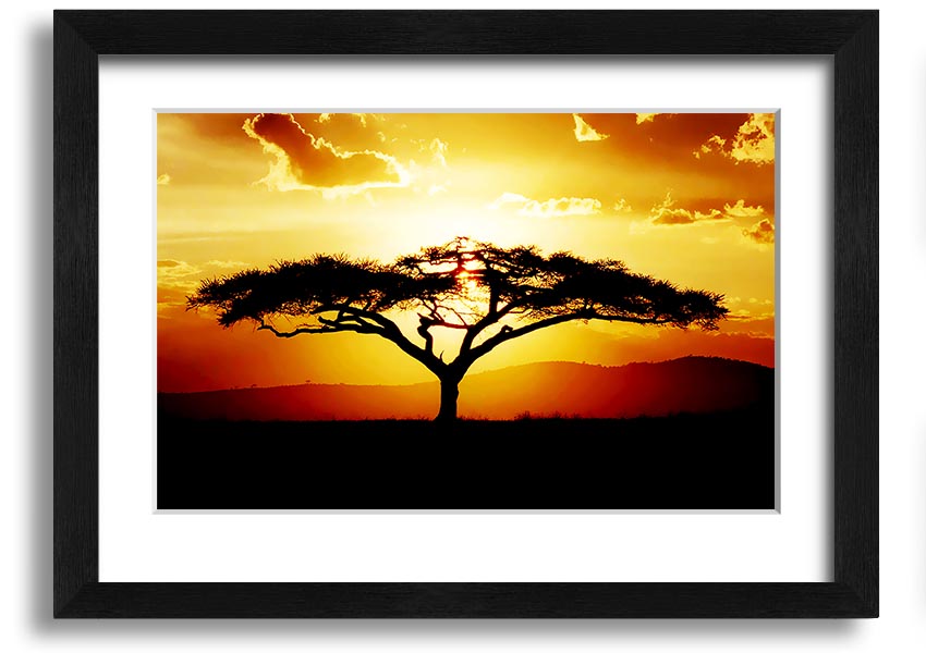 Framed print of an African tree at sunset, showcasing vibrant colors and a serene landscape.