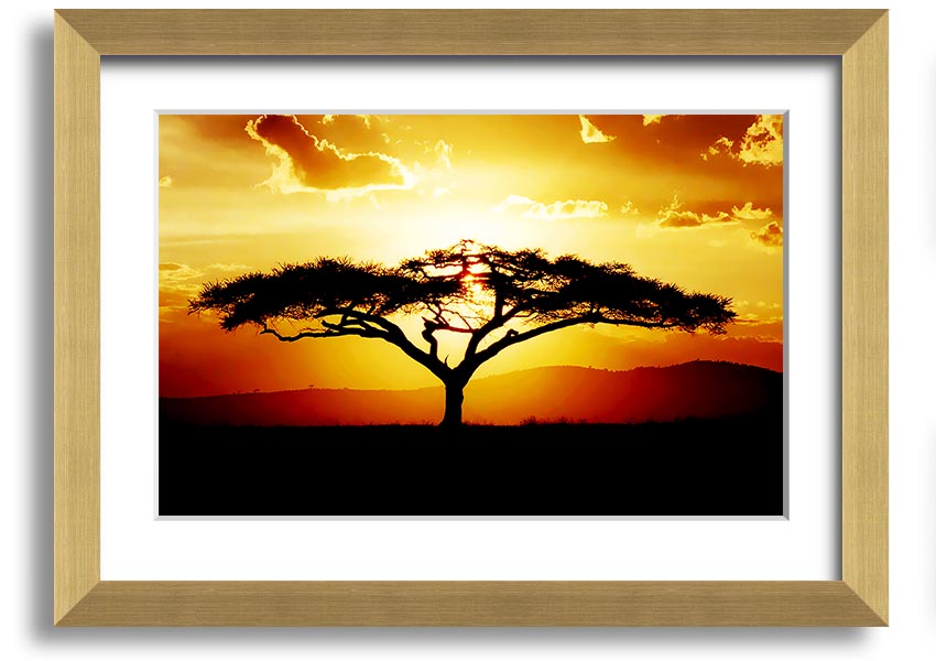 Framed print of an African tree at sunset, showcasing vibrant colors and a serene landscape.