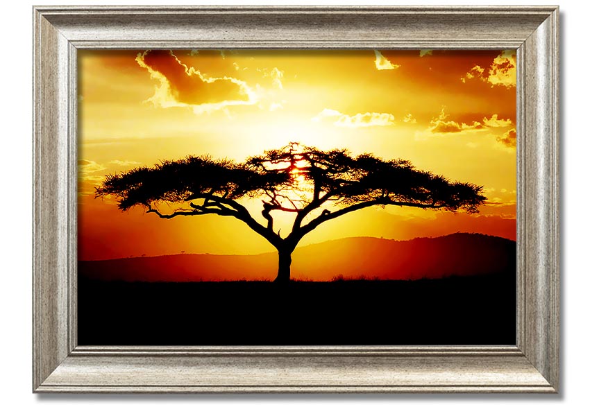 Framed print of an African tree at sunset, showcasing vibrant colors and a serene landscape.