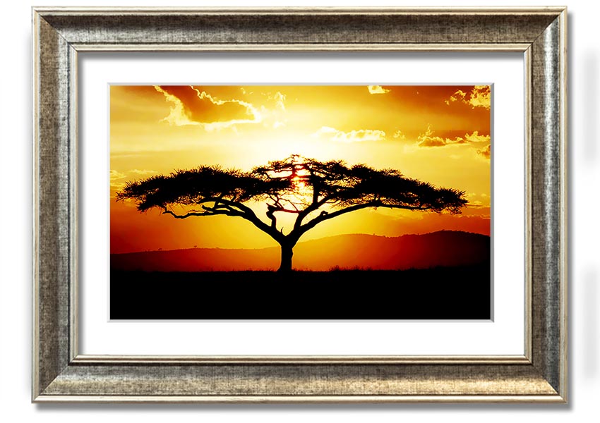 Framed print of an African tree at sunset, showcasing vibrant colors and a serene landscape.