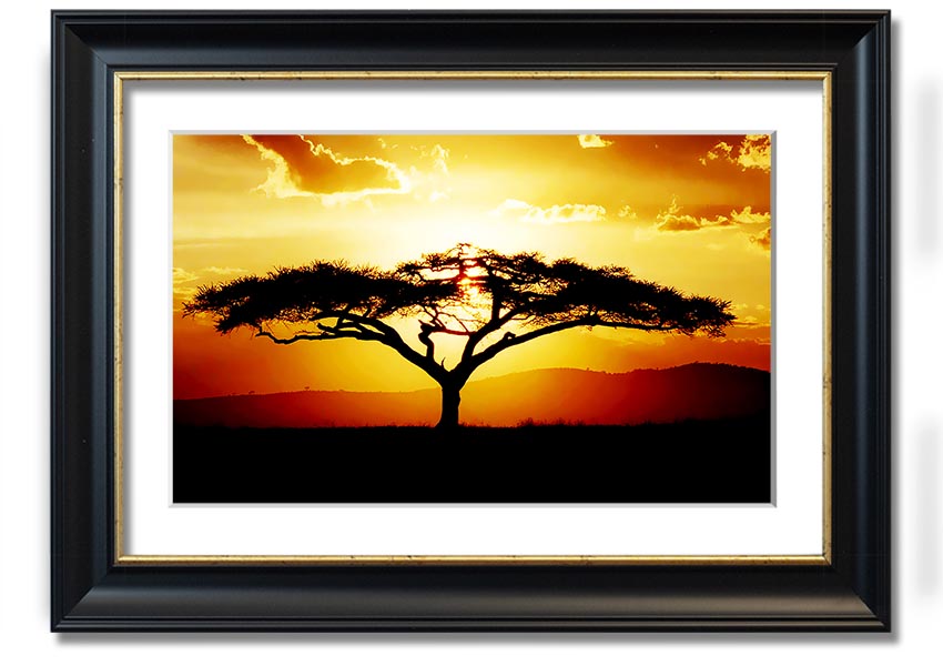 Framed print of an African tree at sunset, showcasing vibrant colors and a serene landscape.