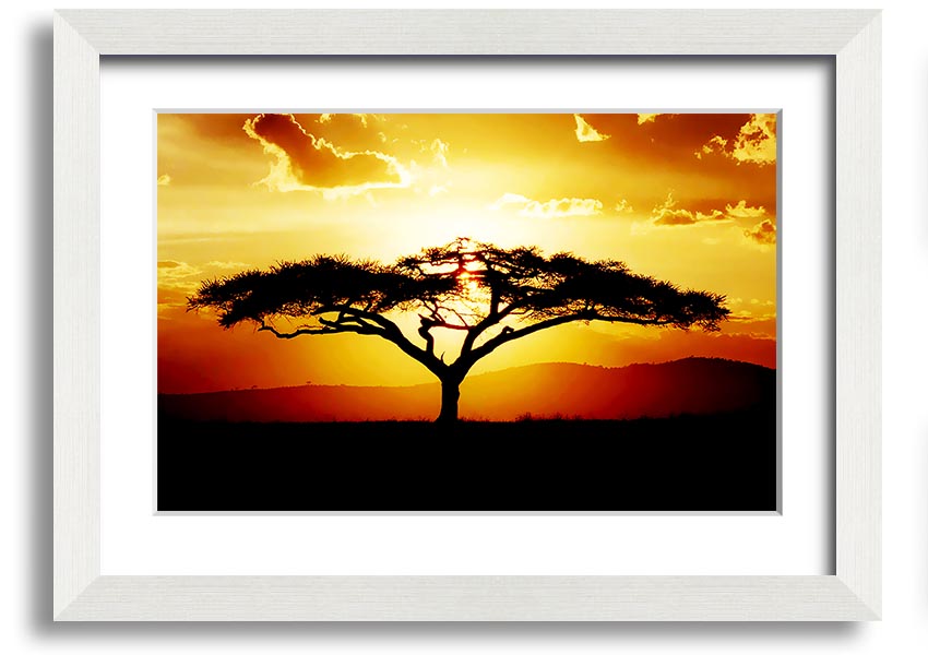 Framed print of an African tree at sunset, showcasing vibrant colors and a serene landscape.