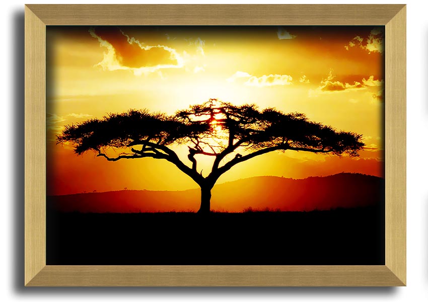 Framed print of an African tree at sunset, showcasing vibrant colors and a serene landscape.