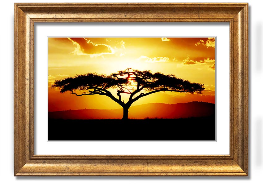 Framed print of an African tree at sunset, showcasing vibrant colors and a serene landscape.