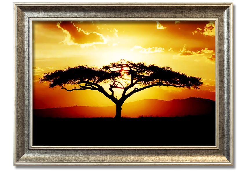 Framed print of an African tree at sunset, showcasing vibrant colors and a serene landscape.