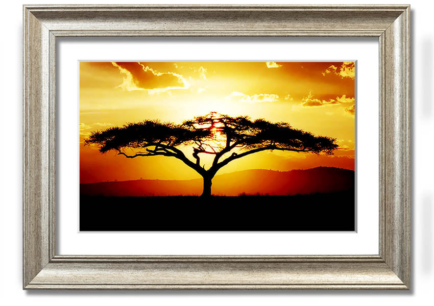 Framed print of an African tree at sunset, showcasing vibrant colors and a serene landscape.