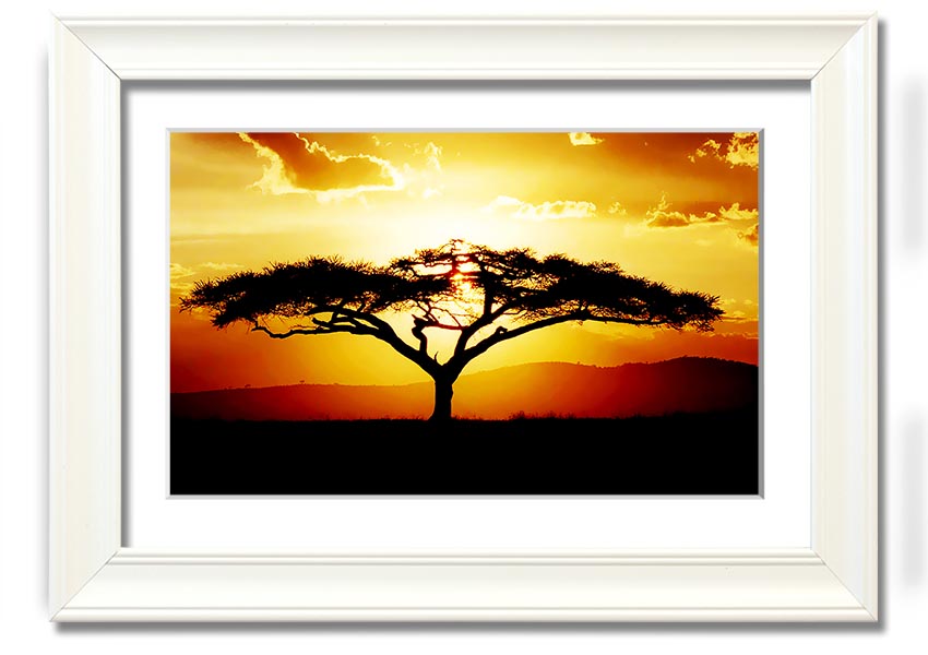 Framed print of an African tree at sunset, showcasing vibrant colors and a serene landscape.