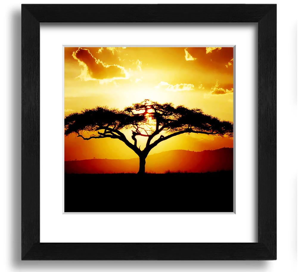 A beautifully framed print of an African tree at sunset, showcasing vibrant colors and intricate details.