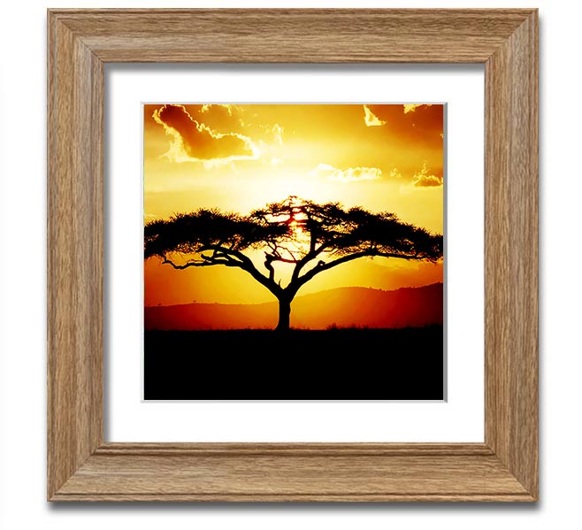 A beautifully framed print of an African tree at sunset, showcasing vibrant colors and intricate details.