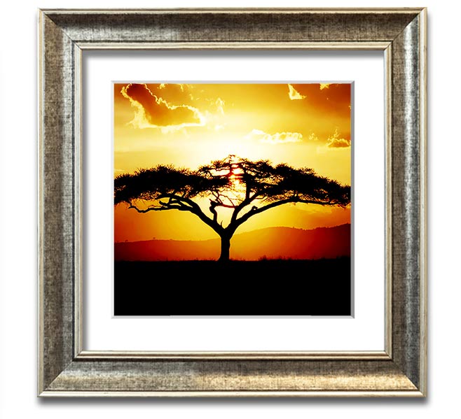 A beautifully framed print of an African tree at sunset, showcasing vibrant colors and intricate details.