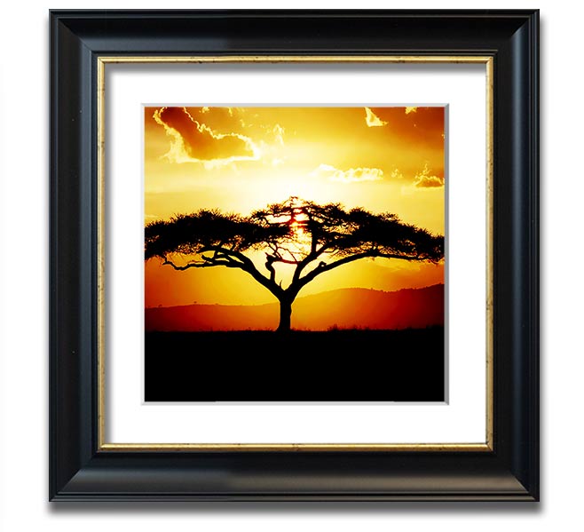 A beautifully framed print of an African tree at sunset, showcasing vibrant colors and intricate details.