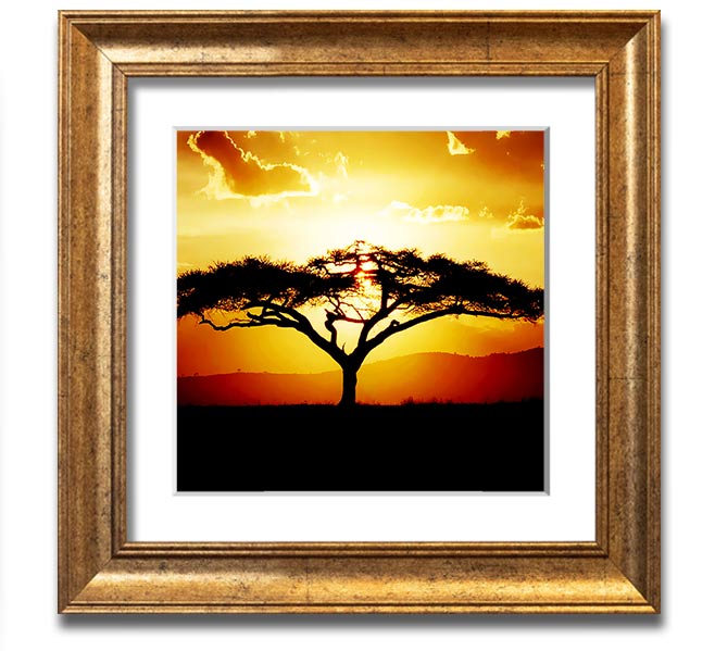 A beautifully framed print of an African tree at sunset, showcasing vibrant colors and intricate details.