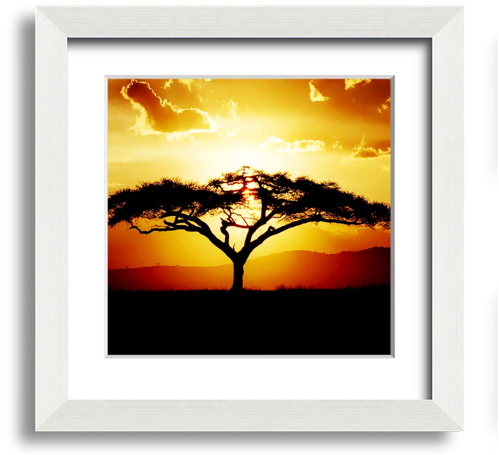 A beautifully framed print of an African tree at sunset, showcasing vibrant colors and intricate details.