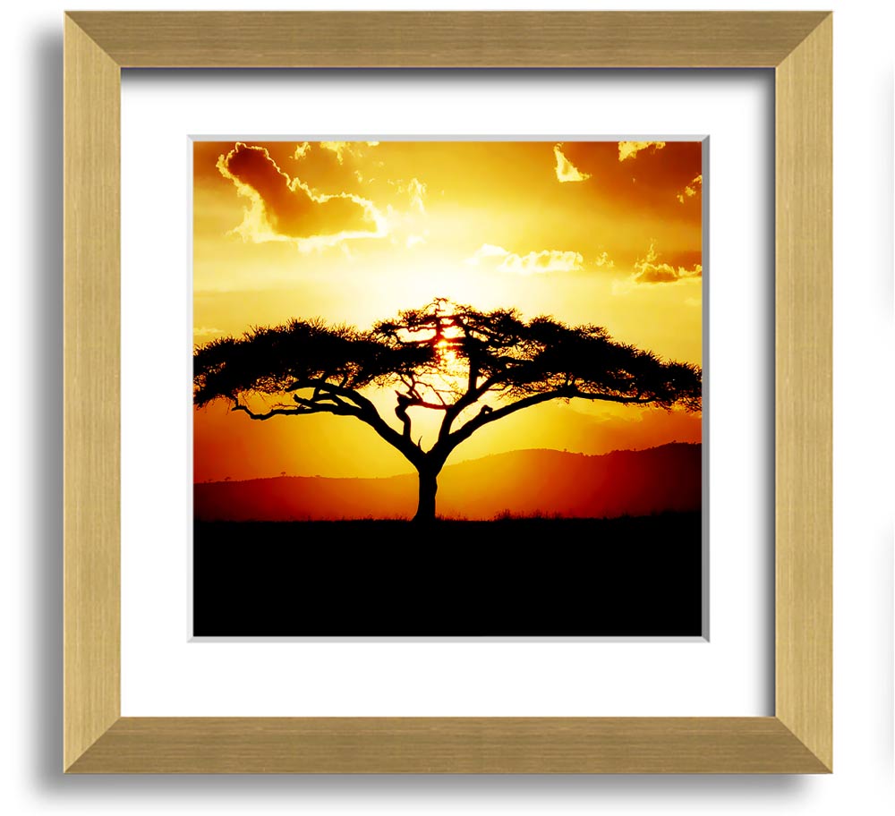 A beautifully framed print of an African tree at sunset, showcasing vibrant colors and intricate details.