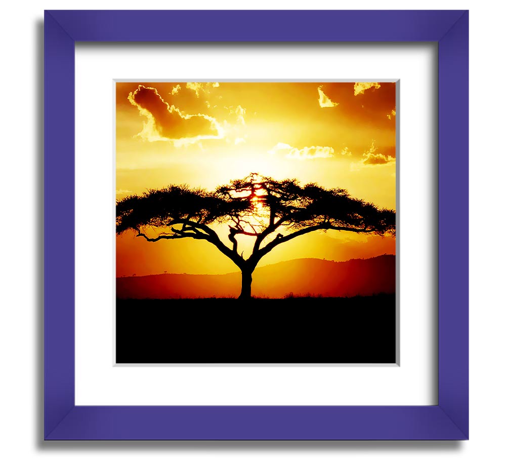 A beautifully framed print of an African tree at sunset, showcasing vibrant colors and intricate details.