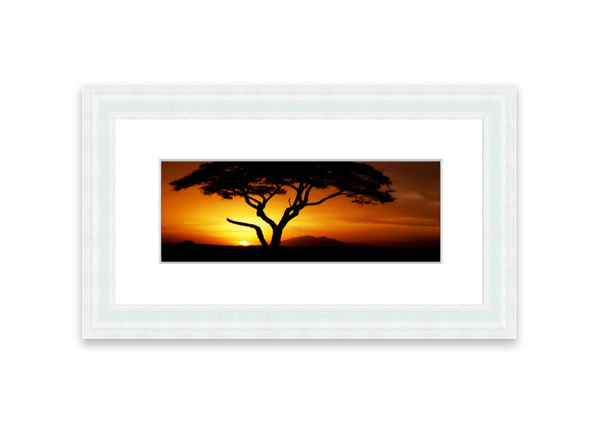 Framed print of an African tree illuminated by golden sunlight, showcasing intricate details and vibrant colors.