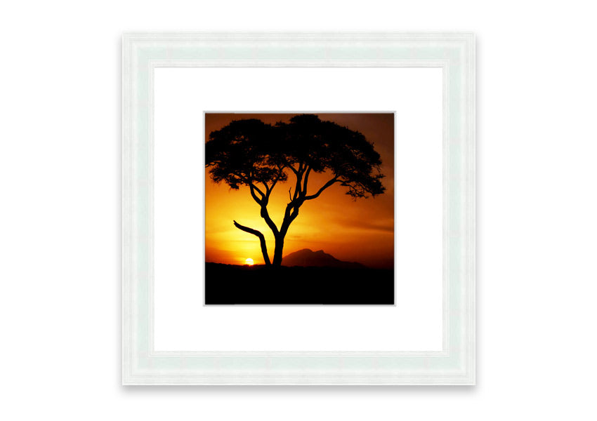 Framed print of an African tree illuminated by golden sunlight, showcasing intricate details and vibrant colors.