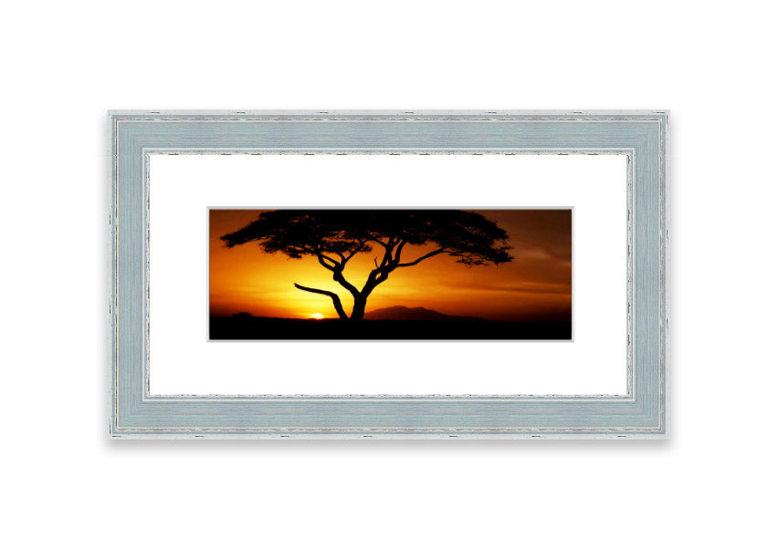 Framed print of an African tree illuminated by golden sunlight, showcasing intricate details and vibrant colors.