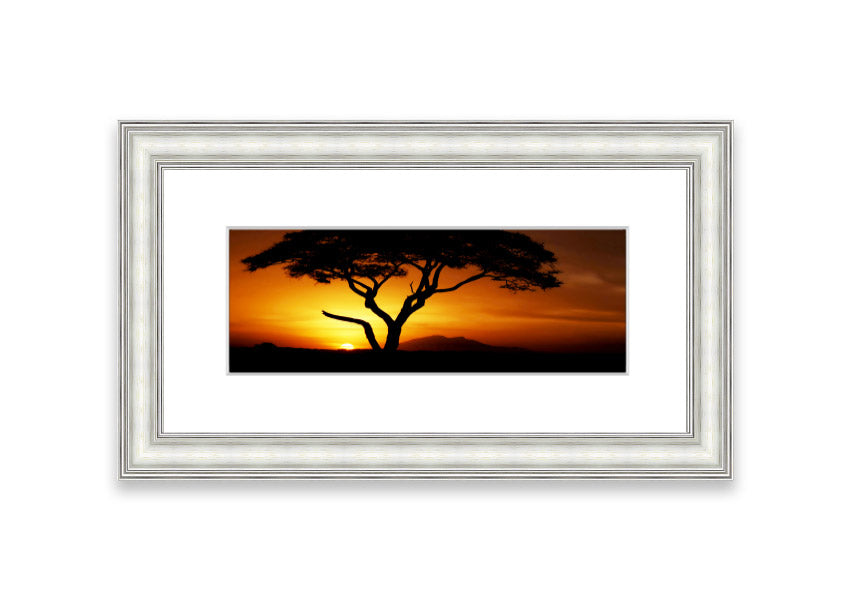 Framed print of an African tree illuminated by golden sunlight, showcasing intricate details and vibrant colors.