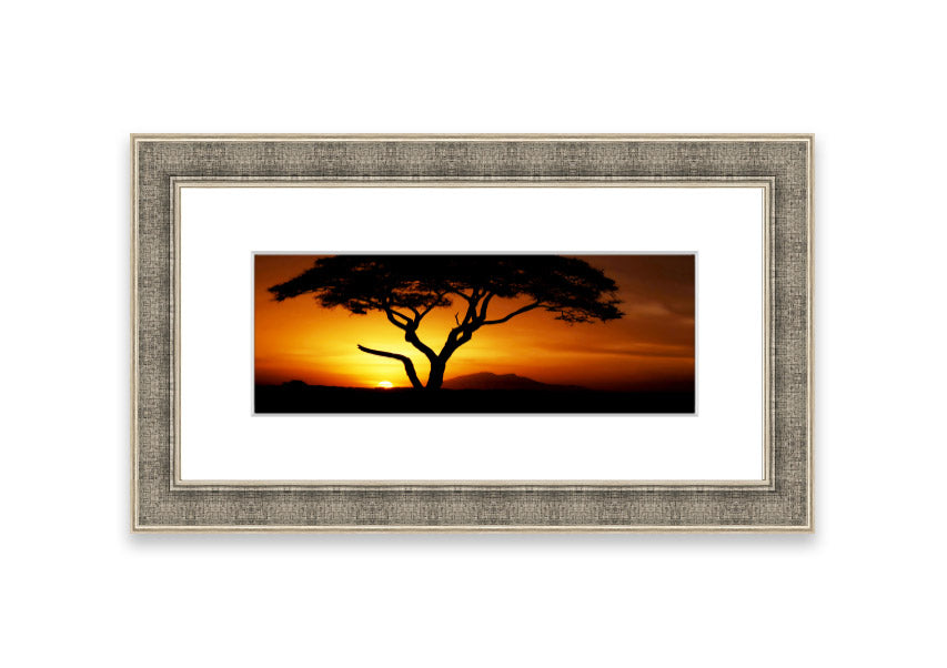 Framed print of an African tree illuminated by golden sunlight, showcasing intricate details and vibrant colors.