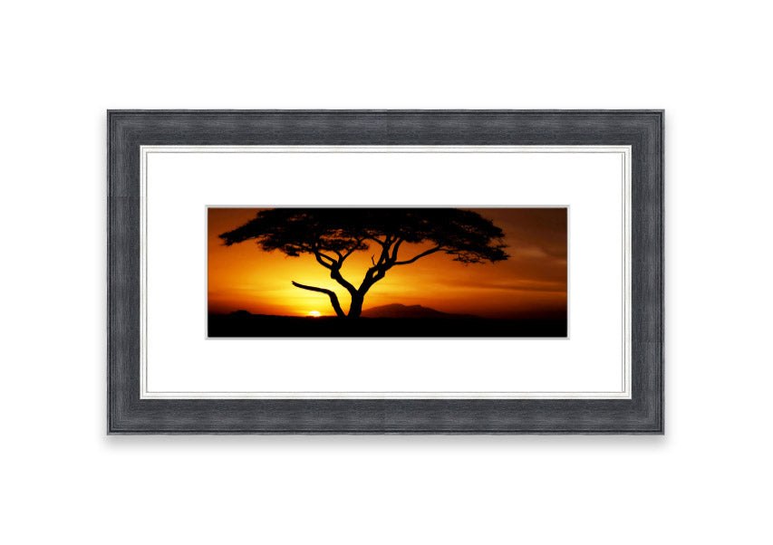 Framed print of an African tree illuminated by golden sunlight, showcasing intricate details and vibrant colors.