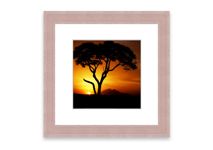 Framed print of an African tree illuminated by golden sunlight, showcasing intricate details and vibrant colors.