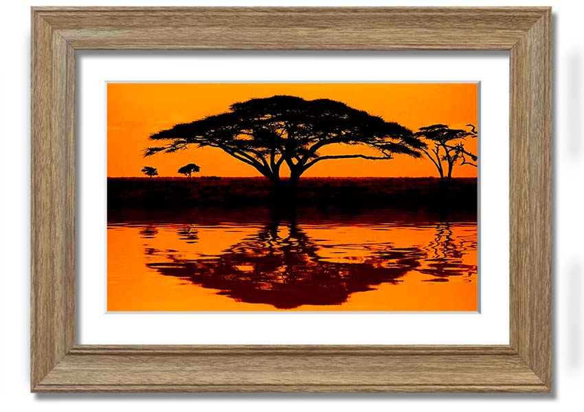 Framed print of an African tree reflection, showcasing vibrant colors and intricate details, ready to hang.