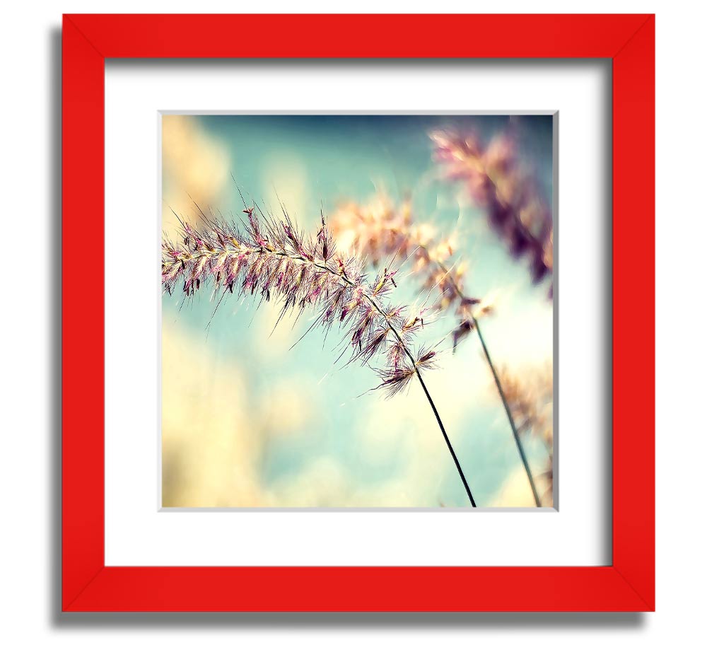 All Along Square Framed Print in multiple frame colors, showcasing its elegant design and handmade quality.