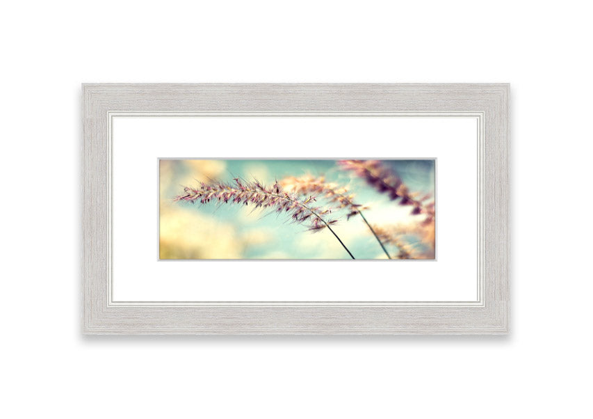 All Along Cornwall framed print showcasing a beautiful landscape, handmade in the UK with multiple frame color options.