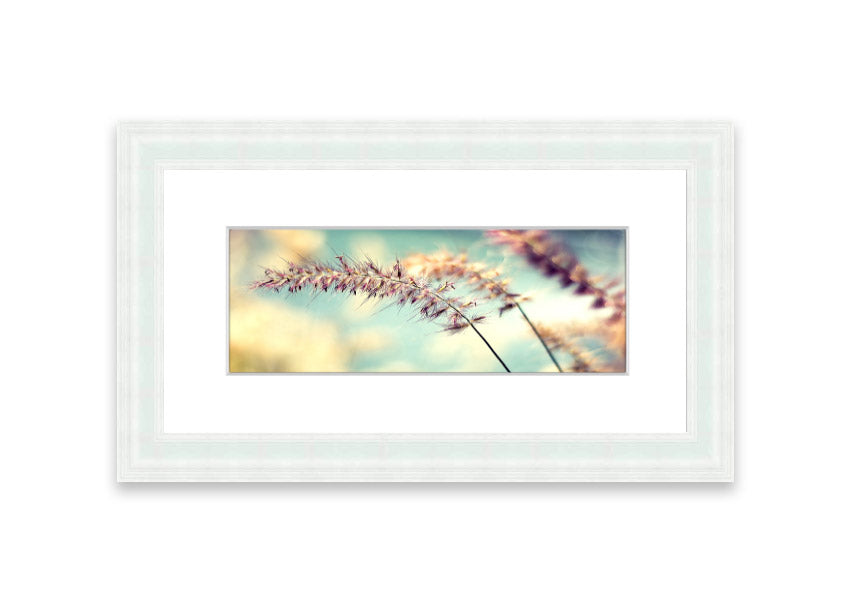 All Along Cornwall framed print showcasing a beautiful landscape, handmade in the UK with multiple frame color options.